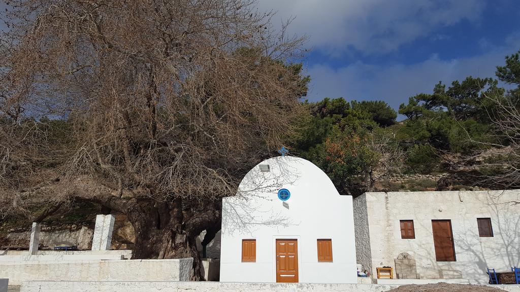 Eleni Studios Kefalos  Bagian luar foto