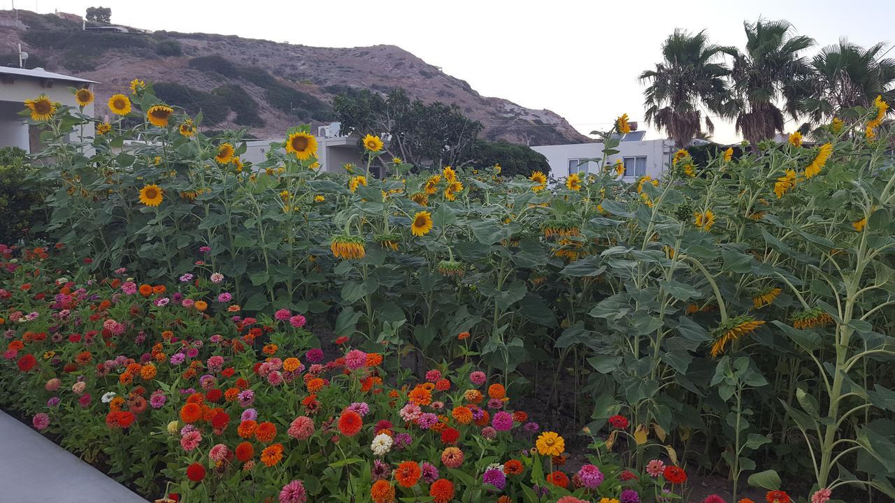 Eleni Studios Kos Bagian luar foto